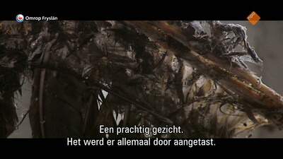 Fryslân DOK