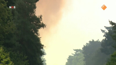 NOS Journaal in Makkelijke Taal