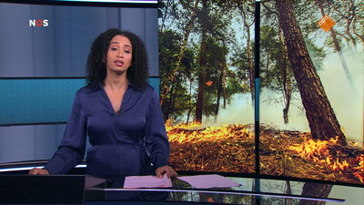 NOS Journaal in Makkelijke Taal