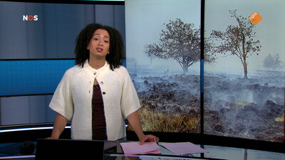 NOS Journaal in Makkelijke Taal