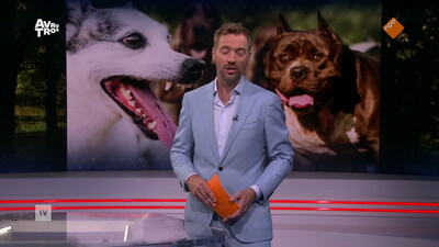 EenVandaag