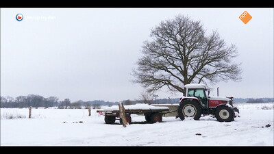 Fryslân DOK