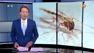 NOS Journaal