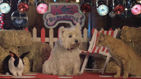 K3 Dierenhotel Kijk Je Gratis In Zappbios Kinderfilms Zapp