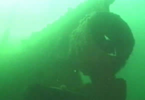 De opgedoken Seehund in Lubecker Buchte