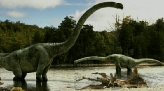 Schooltv: Dinosaurus op de - Dino's