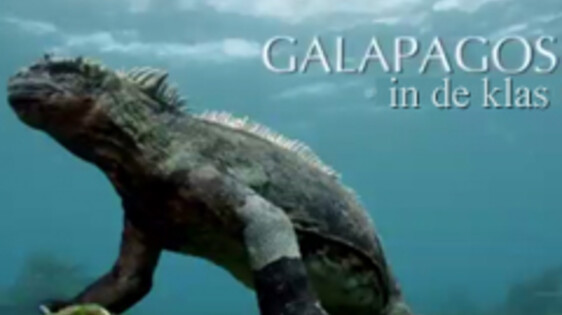Galapagos in de klas