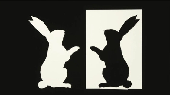 Schooltv: Een konijn zwart-wit Knutselen met schaar en papier