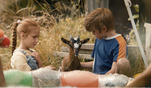 Geitje voor een karweitje