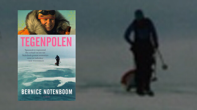 Bernice Notenboom Bernice Notenboom
