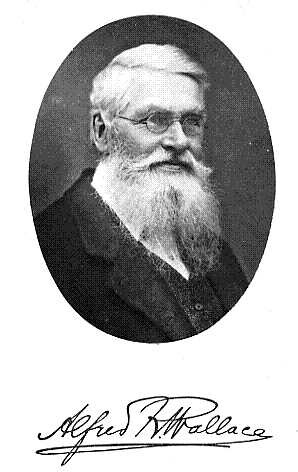 Noorderlicht - Alfred Russel Wallace