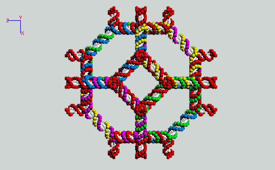 Noorderlicht nanotechnologie: dna