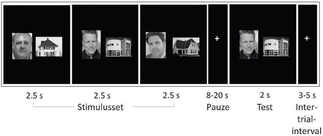 geheugentest