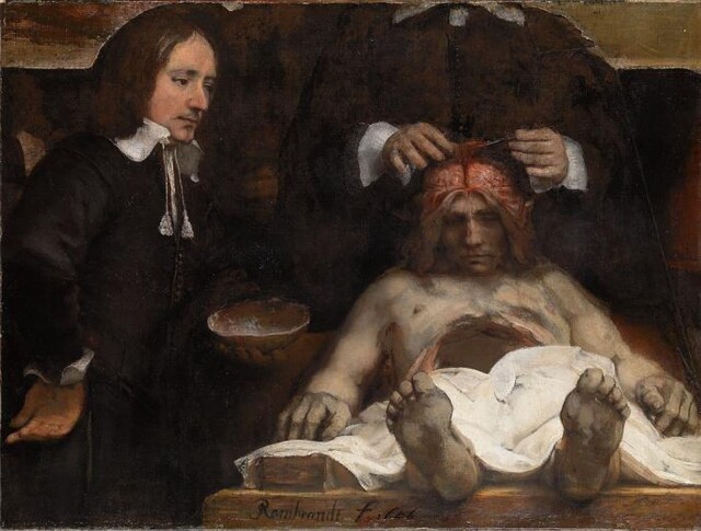 anatomische les anatomische les