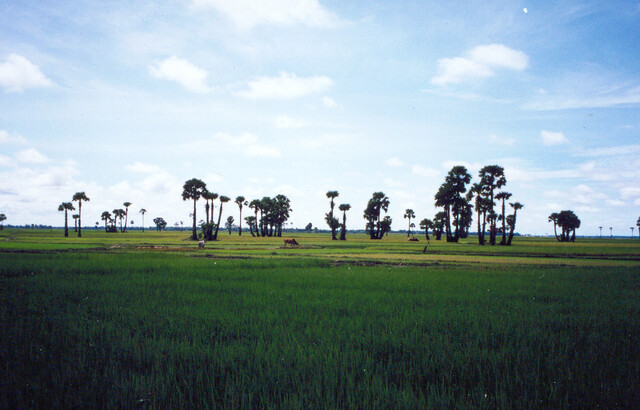 platteland