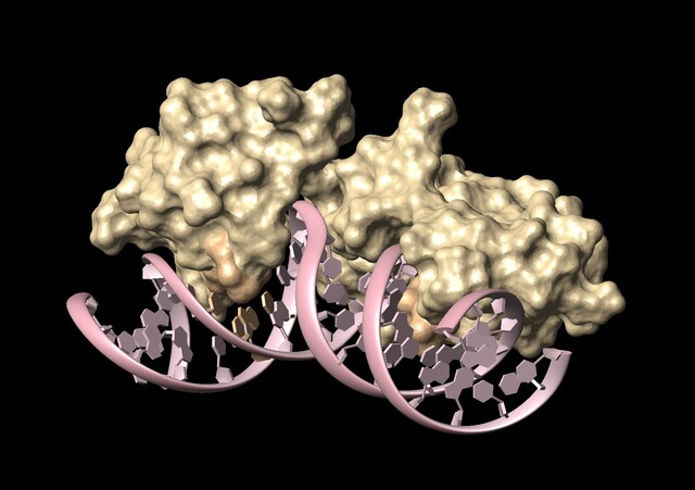 Moleculaire herkenning Moleculaire herkenning