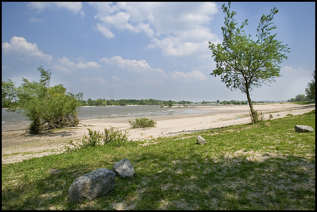 Ewijkse plaat
