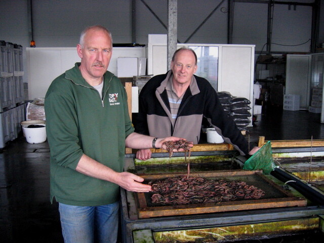 De borstelworm-kwekers.