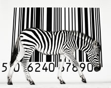Noorderlicht streepjescode Noorderlicht streepjescode