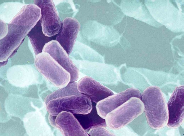 Noorderlicht antibiotica resistentie