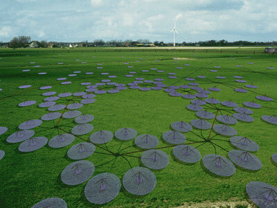 Noorderlicht radio: LOFAR