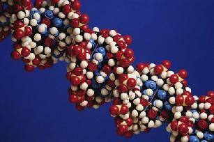 DNA is geen starre wenteltrap DNA is geen starre wenteltrap