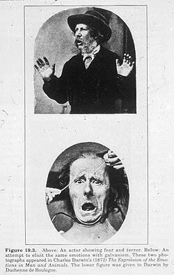Illustratie uit boek van Charles Darwin over emoties Illustratie uit boek van Charles Darwin over emoties