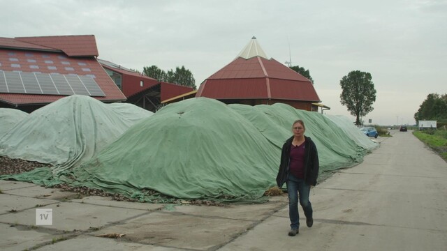 Ecologische-boeren-trekken-aan-het-kortste-ANO241031YE.jpg