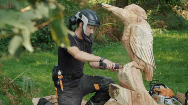 Jeroen maakt de meest bijzondere houtsculpturen met zijn motorzaag