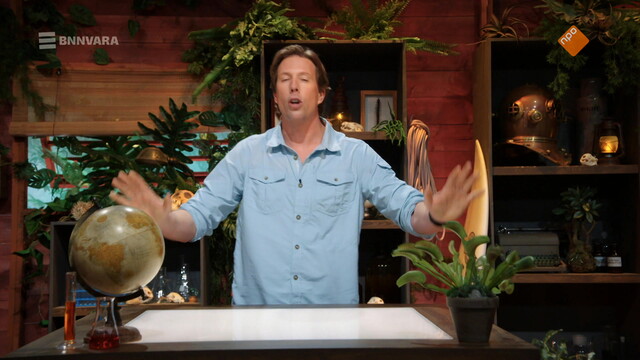 Freeks Jungle School
