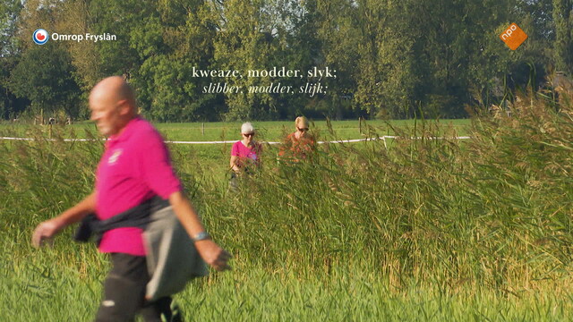 Override of the title Fryslân DOK