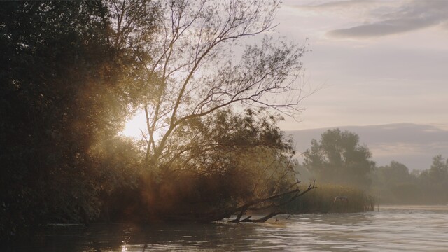 Override of the title Mens staat centraal op natuurfilmfestival