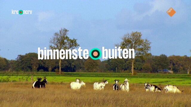 BinnensteBuiten