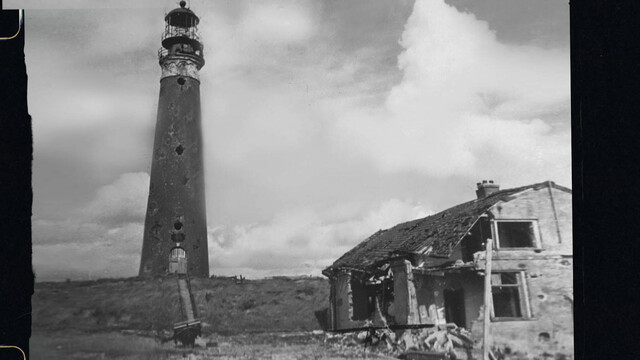 Texel