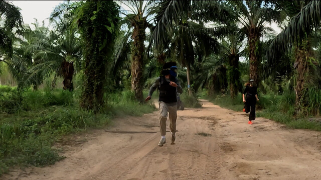 Wie is de Mol Belgie - Aflevering 6
