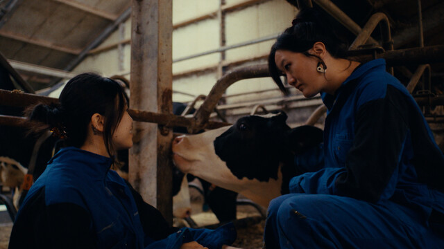 Thumbnail De Afhaalchinees: Thuisbezorgd AFL2