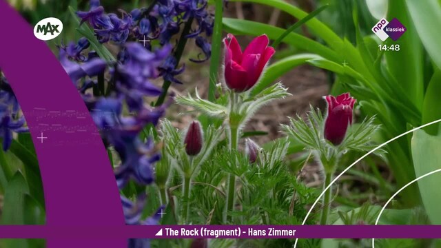 thumbnail RCRSA1_0728782236222