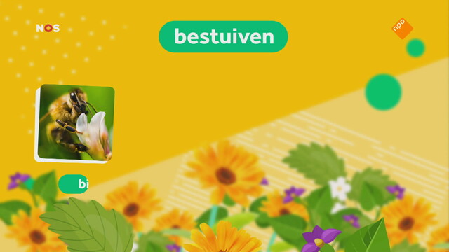 NOS Jeugdjournaal