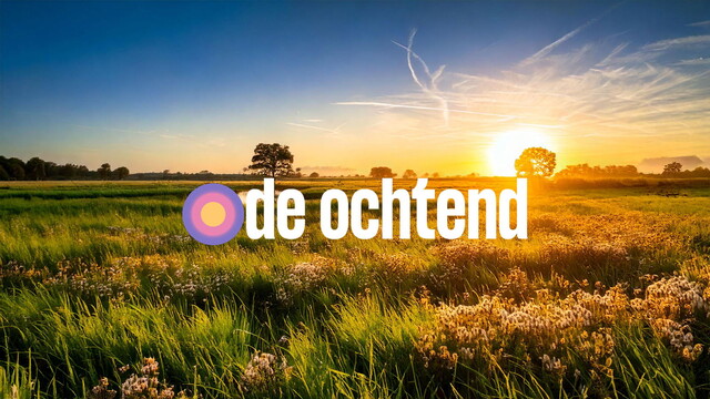 De Ochtend Zomer