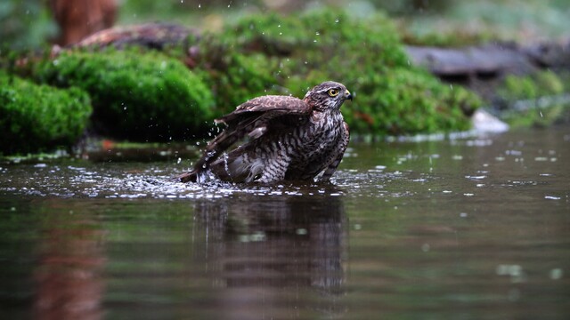 Even lekker een bad pakken