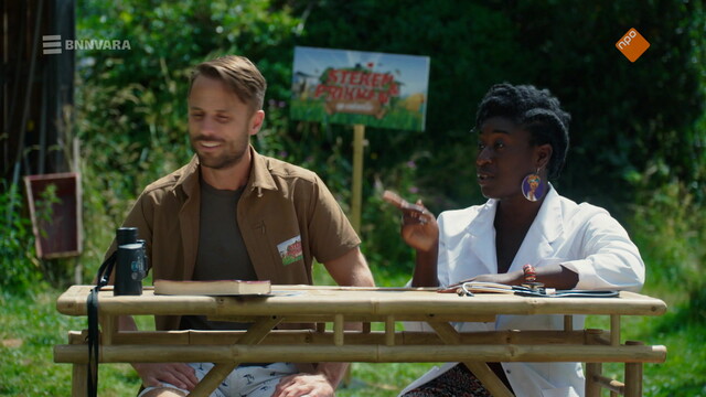 Steken en Prikken: Op Vakantie