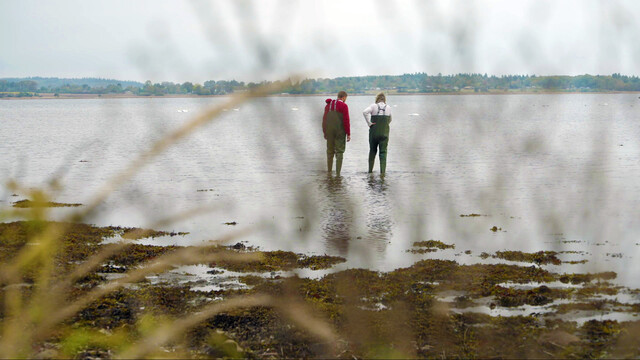 2025-11-1 1V THUMBNAIL Denemarken