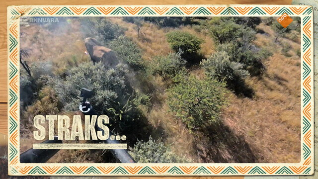 Dierendokter in het wild