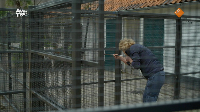 Bij ons in de Dierentuin