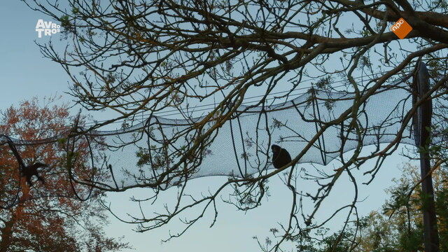 Bij ons in de Dierentuin