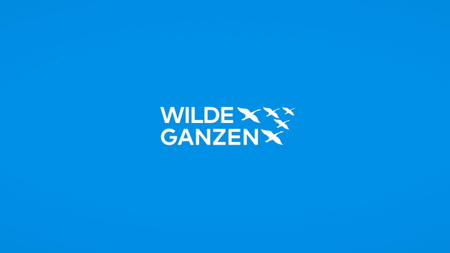 Wilde Ganzen