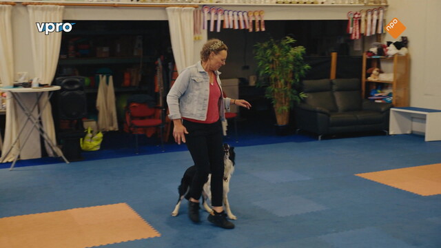 Wilde buren alleen maar love