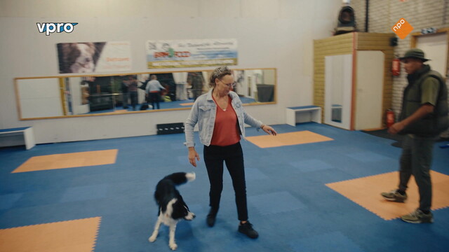 Wilde buren alleen maar love