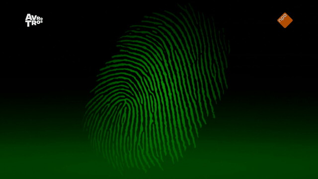 Mollenstreken - jubileum