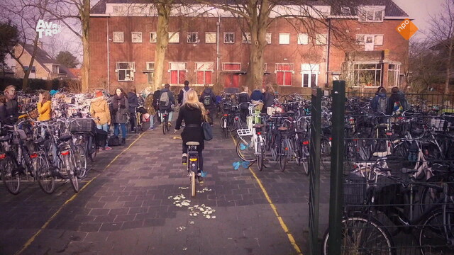 Het Mooiste Meisje van de Klas